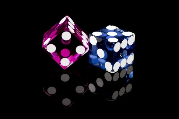 ts toto Bingo with Live Callers, Real Cards